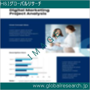 グローバルリサーチ調査レポートのイメージ